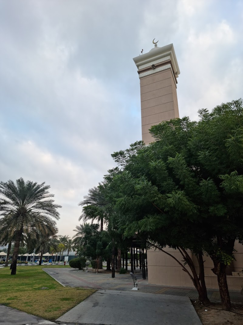تصویر شماره 6