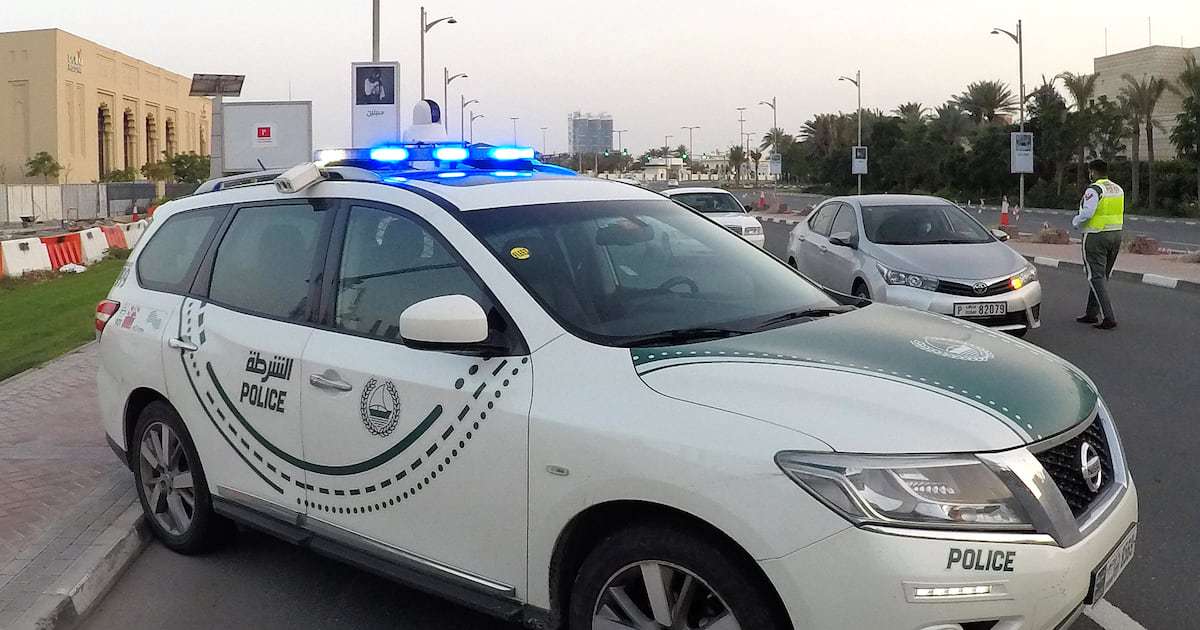 Dubai Police Dismantle Gang Selling Fake International Driving Licences